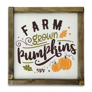 Farm grown pumpkins - Fehér deszkatábla tölgy kerettel